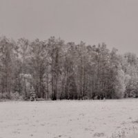 Зима :: Ольга Туманова