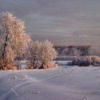 Туманное утро :: Наталья Гжельская