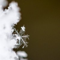 это просто снег :: человечик prikolist
