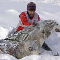 Снежные ванны :: Евгений Русин