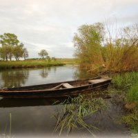 Старая лодка :: Наталья Аракчеева