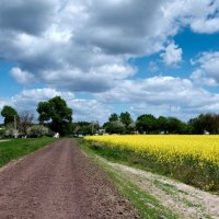 Дорога, ведущая в село :: Владимир ЯЩУК