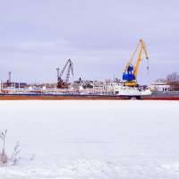 На приколе :: Александр Барышев