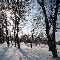 Очарование зимнего дня . :: Владимир Чижиков 