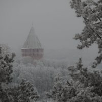 Смоленск :: Александр Губарев