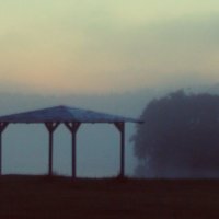 Misty morning :: Александра Ветер