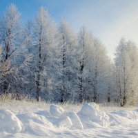 На краю дороги :: Андрей Зайцев