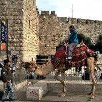 Иерусалимские картинки :: Leonid Korenfeld