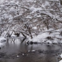 здесь такой чистоты из под снега ручьи.... :: Альбина 