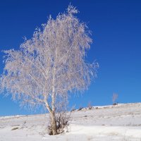 зима :: ayrat  malabaev 