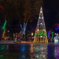 Перед Новым годом :: Николай Густов