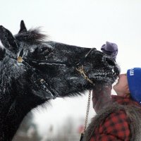 Дружба :: Роза Василенко