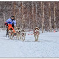 Команда :: Сергей Бережко