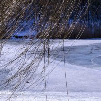 Узоры на льду :: АЛЛА Смирнова