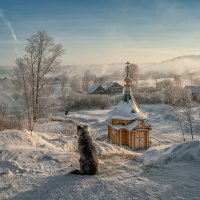 Утренний созерцатель :: Владимир Чуприков