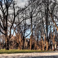 Февральские парки Краснодара :: Андрей Печерский 