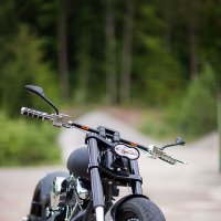 Harley Davidson :: Dennis Wiesner