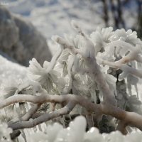 Из серии "Ледяная аномалия" :: Владимир Belov