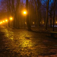 В свете ночных фонарей :: Denis Aksenov