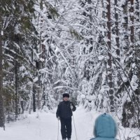 прогулка в лесу :: ганичев алексей 