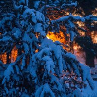 Зима :: Николай Гришин