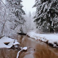 Сказки зимнего леса :: Iverinka .