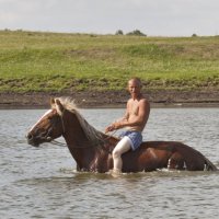купание красного коня :: evgeny 