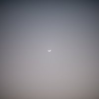 Мини луна :: Luis Toshi