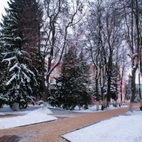 Зимний скверик :: Дмитрий Сорокин