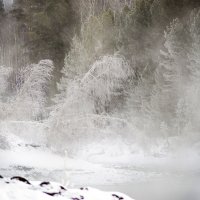 Зима на озере :: Ольга Овчинникова