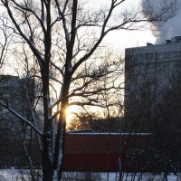 февральское солнце :: Yulia Sherstyuk