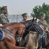 Конца войны всё нет и нет... :: Ирина Данилова