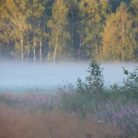 Утро в полях :: Юрий Цыплятников