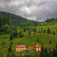 лесистые склоны Голубых гор в Карпатах с домиками :: Сергей Савич