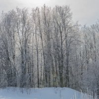 Зимние зарисовки :: Николай В