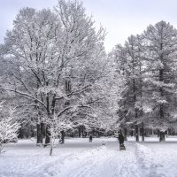 Зима :: Игорь Максименко
