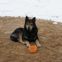 "Подайте,  Христа ради.." :: Елена Павлова (Смолова)