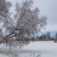 Орловский пруд :: Ярослав Трубников 