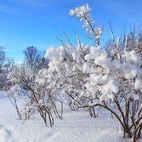 Пейзаж :: Александр 