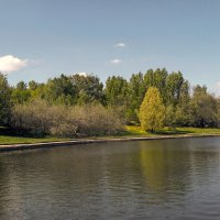 В парке :: Анатолий Цыганок