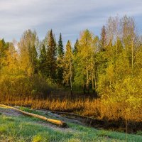 Майский утренний заморозок :: Валентин Котляров