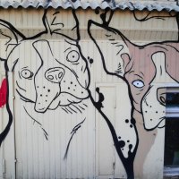 Граффити. :: Анфиса 