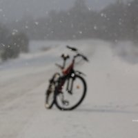 Под снегом без фокуса :: Сергей Шаврин