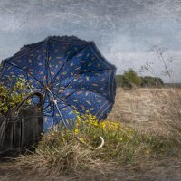 " Кусочек лета под зонтом ... " :: Светлана Лиханова