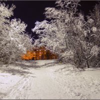 Вечером в Ягринском бору :: Иван Клещин