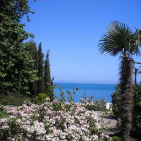 Море, пальмы и цветы :: Чуб Андрей