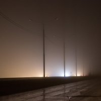 Туман на дороге. :: Евгений Поляков