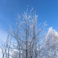 Зима :: Андрей Баськов