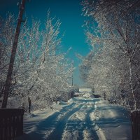 зима в деревне :: Татьяна Ларина