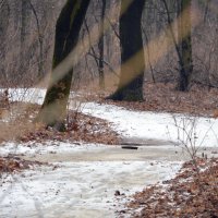 дорога в ни куда :: Михаил Bobikov